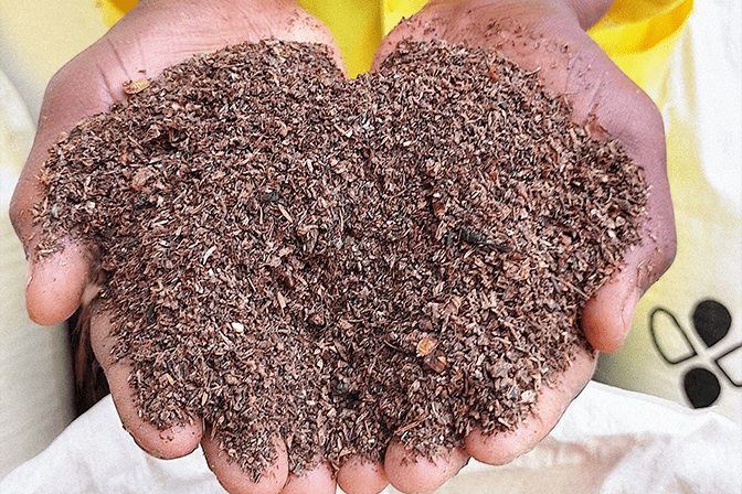 BSF frass Bulawayo, black soldier fly frass Bulawayo, BSF fertilizer Bulawayo, insect frass Bulawayo, frass fertilizer for sale Bulawayo, buy BSF frass Bulawayo, black soldier fly compost Bulawayo, BSF frass supplier Bulawayo, organic frass Bulawayo, insect-based fertilizer Bulawayo, BSF frass Zimbabwe, frass compost Bulawayo, black soldier fly fertilizer Bulawayo, BSF organic fertilizer Bulawayo, frass for gardens Bulawayo, larvae frass Bulawayo, insect frass compost Bulawayo, BSF frass price Bulawayo, frass fertilizer Bulawayo, premium BSF frass Bulawayo, BSF frass for vegetables Bulawayo, organic insect frass Bulawayo, black soldier fly manure Bulawayo, BSF waste fertilizer Bulawayo, frass organic fertilizer Bulawayo, BSF frass for farming Bulawayo, agricultural BSF frass Bulawayo, BSF frass for crops Bulawayo, garden frass fertilizer Bulawayo, BSF frass nutrient Bulawayo, nitrogen rich frass Bulawayo, high nitrogen fertilizer Bulawayo, chitin fertilizer Bulawayo, pest deterrent fertilizer Bulawayo, BSF frass benefits Bulawayo, frass soil amendment Bulawayo, organic soil enricher Bulawayo, sustainable fertilizer Bulawayo, eco-friendly fertilizer Bulawayo, biological fertilizer Bulawayo, frass for seedlings Bulawayo, BSF frass potting mix Bulawayo, frass for vegetable gardens Bulawayo, BSF frass for flowers Bulawayo, frass for lawns Bulawayo, organic farming inputs Bulawayo, BSF frass greenhouse Bulawayo, frass for nurseries Bulawayo, commercial BSF frass Bulawayo, bulk frass Bulawayo, bagged frass Bulawayo, frass in bags Bulawayo, frass 20kg bags Bulawayo, BSF frass delivery Bulawayo, frass supplier Zimbabwe, BSF frass manufacturer Bulawayo, wholesale BSF frass Bulawayo, certified organic frass Bulawayo, premium frass fertilizer Bulawayo, high quality BSF frass Bulawayo, nutrient dense frass Bulawayo, best frass fertilizer Bulawayo, BSF frass vs compost Bulawayo, frass vs manure Bulawayo, natural fertilizer Bulawayo, bio fertilizer Bulawayo, where to buy BSF frass Bulawayo, frass near me Bulawayo, BSF frass prices Bulawayo, order frass Bulawayo, frass delivery service Bulawayo, cheap BSF frass Bulawayo, affordable frass Bulawayo, how much is frass Bulawayo, frass for sale Zimbabwe, black soldier fly products Bulawayo, insect farming products Bulawayo, BSF frass Hillside Bulawayo, frass Burnside Bulawayo, BSF frass Suburbs Bulawayo, frass Matsheumhlope, frass North End Bulawayo, organic fertilizer alternative Bulawayo, chemical-free fertilizer Bulawayo, frass soil conditioner Bulawayo, frass for organic farming Bulawayo, permaculture fertilizer Bulawayo, regenerative agriculture inputs Bulawayo, BSF frass Matabeleland, insect frass Zimbabwe, sustainable farming inputs Bulawayo, frass tea Bulawayo, liquid frass fertilizer Bulawayo, frass extract Bulawayo, concentrated frass Bulawayo, processed BSF frass Bulawayo, dried frass Bulawayo, screened frass Bulawayo, pure BSF frass Bulawayo, frass and compost Bulawayo, mixed frass fertilizer Bulawayo, enriched frass Bulawayo, frass blend Bulawayo, best place to buy frass Bulawayo, BSF frass suppliers in Bulawayo, where can I get frass in Bulawayo, buy BSF frass online Bulawayo, frass for tomatoes Bulawayo, frass for maize Bulawayo, frass for leafy vegetables Bulawayo, how to use BSF frass Bulawayo, frass application rate Bulawayo, frass benefits for plants