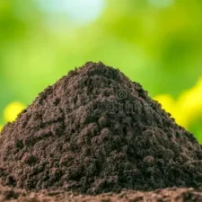 organic compost (m3), organic compost Bulawayo, compost for sale Bulawayo, organic fertilizer Bulawayo, buy compost Bulawayo, compost supplier Bulawayo, organic compost Zimbabwe, compost Bulawayo price, garden compost Bulawayo, organic manure Bulawayo, cow manure compost Bulawayo, chicken manure Bulawayo, mushroom compost Bulawayo, vermicompost Bulawayo, worm compost Bulawayo, black soldier fly frass Bulawayo, BSF compost Bulawayo, organic soil conditioner Bulawayo, compost fertilizer Bulawayo, aged compost Bulawayo, mature compost Bulawayo, garden compost for sale Bulawayo, vegetable garden compost Bulawayo, lawn compost Bulawayo, farming compost Bulawayo, agricultural compost Bulawayo, potting soil compost Bulawayo, flower bed compost Bulawayo, seedling compost Bulawayo, organic farming supplies Bulawayo, greenhouse compost Bulawayo, compost bags Bulawayo, bulk compost Bulawayo, bagged compost Bulawayo, compost in bags Bulawayo, compost 20kg bags Bulawayo, loose compost Bulawayo, compost delivery Bulawayo, certified organic compost Bulawayo, premium compost Bulawayo, high quality compost Bulawayo, rich compost Bulawayo, nutrient rich compost Bulawayo, best compost Bulawayo, top soil and compost Bulawayo, wholesale compost Bulawayo, compost supplier Zimbabwe, compost manufacturer Bulawayo, commercial compost Bulawayo, farm compost Bulawayo, compost for nurseries Bulawayo, compost Burnside Bulawayo, compost Hillside Bulawayo, compost Suburbs Bulawayo, compost Matsheumhlope, compost Pumula, compost North End Bulawayo, compost Ascot Bulawayo, organic fertilizer vs compost Bulawayo, natural fertilizer Bulawayo, soil amendment Bulawayo, humus Bulawayo, soil enricher Bulawayo, mulch and compost Bulawayo, where to buy compost Bulawayo, compost near me Bulawayo, cheap compost Bulawayo, affordable compost Bulawayo, compost prices Bulawayo, order compost Bulawayo, compost delivery service Bulawayo, soil improvement Bulawayo, poor soil solution Bulawayo, improve garden soil Bulawayo, organic soil Bulawayo, fertile soil Bulawayo, fix bad soil Bulawayo, increase soil fertility Bulawayo, organic manure and compost Bulawayo, compost and fertilizer Bulawayo, compost tea Bulawayo, compost bins Bulawayo, composting service Bulawayo, garden supplies Bulawayo, farming inputs Bulawayo, how much is compost in Bulawayo, best place to buy compost Bulawayo, organic compost suppliers in Bulawayo, where can I get compost in Bulawayo, compost for vegetable garden Bulawayo, who sells compost in Bulawayo, compost delivery in Bulawayo, buy organic compost online Bulawayo, compost for planting season Bulawayo, winter compost Bulawayo, rainy season compost Bulawayo, spring garden compost Bulawayo, compost Zimbabwe, organic compost Matabeleland, compost suppliers Zimbabwe, farm supplies Bulawayo, composting services Bulawayo, waste to compost Bulawayo, organic waste recycling Bulawayo, soil testing Bulawayo, garden services Bulawayo