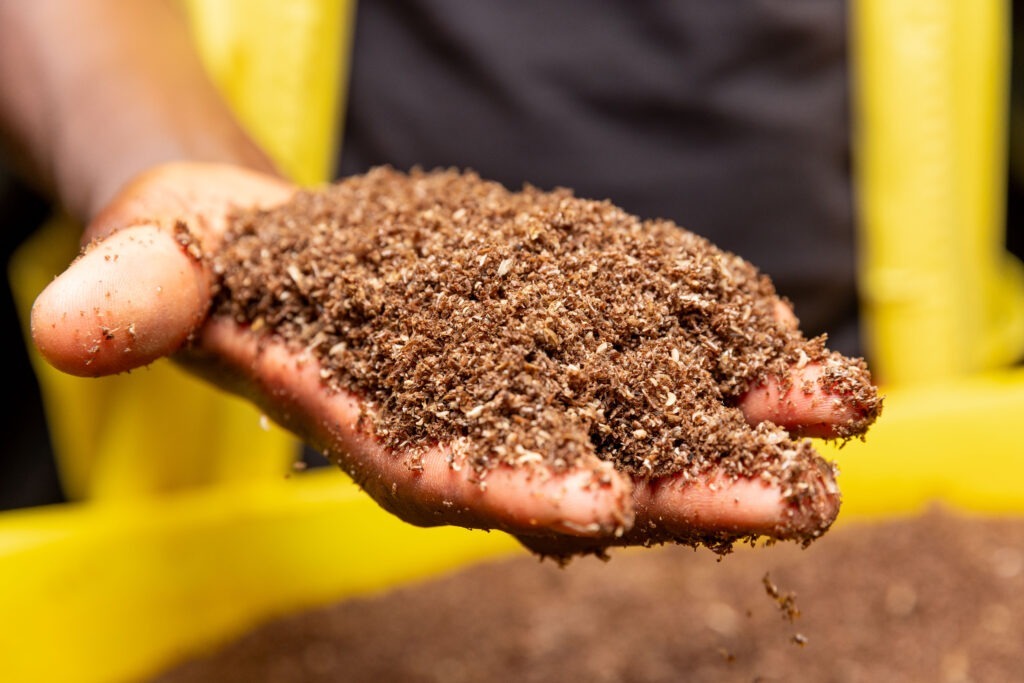 BSF organic compost Bulawayo, Black Soldier Fly compost Zimbabwe, organic fertilizer Bulawayo, BSF frass Matabeleland South, insect compost Bulawayo, sustainable farming Matopo, organic compost suppliers Bulawayo, Black Soldier Fly farming Zimbabwe, BSF compost Matabeleland, regenerative agriculture Bulawayo, organic soil amendment Zimbabwe, BSF larvae compost Matopo, natural fertilizer Bulawayo, compost tea Bulawayo, organic gardening fertilizer Zimbabwe, BSF compost benefits Matabeleland, waste-to-compost Bulawayo, eco-friendly fertilizer Zimbabwe, farm compost Matopo, Black Soldier Fly frass Bulawayo, organic farming inputs Zimbabwe, nutrient-rich compost Bulawayo